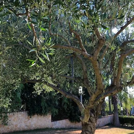 Grandiosa Fc Bed & Breakfast Aci Catena